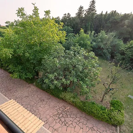 Xenofontas Apartment Agios Georgios Pagon